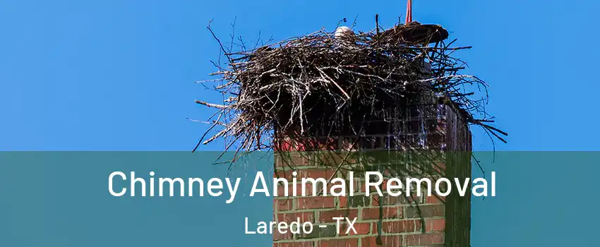  Chimney Animal Removal Laredo - TX