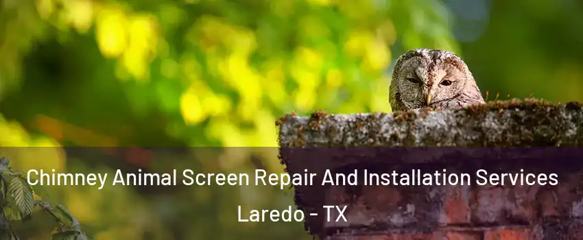  Chimney Animal Screen Repair And Installation Services Laredo - TX